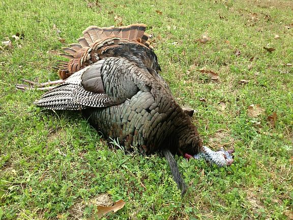 4th image of Tucker Rd