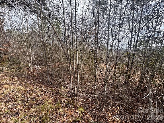 2nd image of 0 Billings Hill Church Rd #56