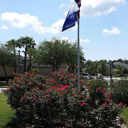 Front Garden and flag