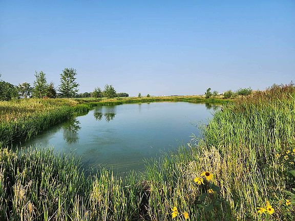 Stocked pond