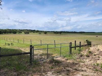 LOT 1 SW Viburnum Rd LOT 1, Dunnellon, FL, 34431