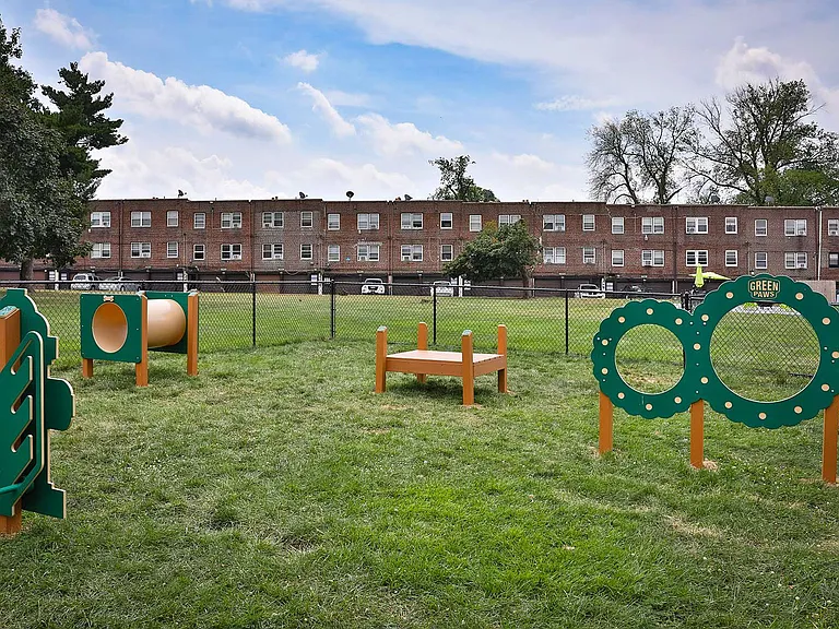 Dog Park