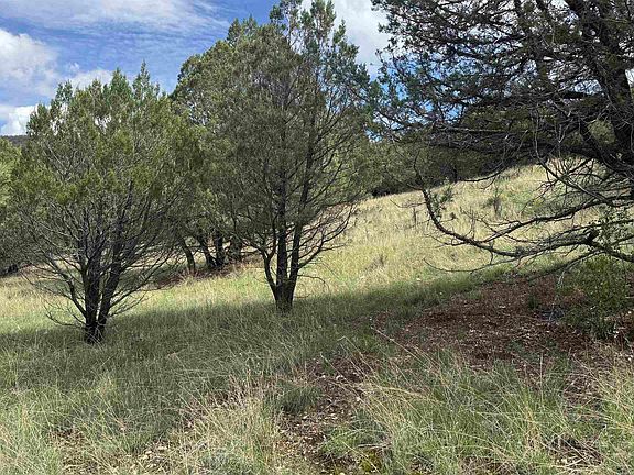 3rd image of 1826-1826B Rio Penasco Rd