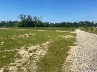 TRACT Arnold Rd #A, Walker, LA 70785