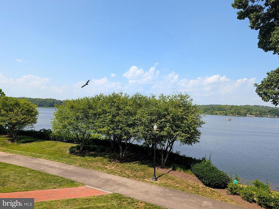 1st image of 440 Belmont Bay Dr Unit 215
