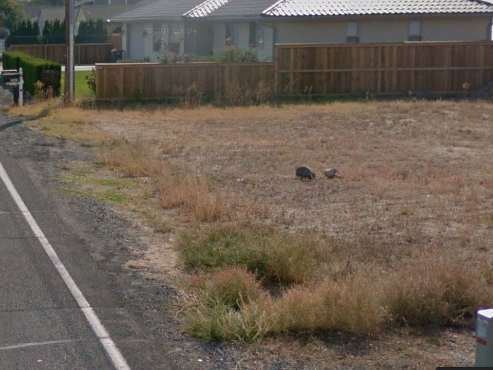 2nd image of 3528 W Lakeshore Dr