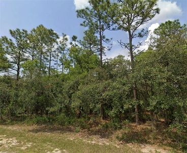 LOT 3 SW 144th Ln Lot 3, Ocala, FL, 34473