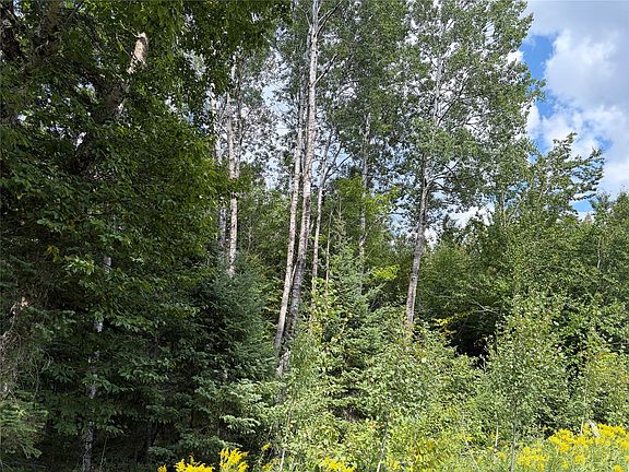 5th image of On Schwilk Road