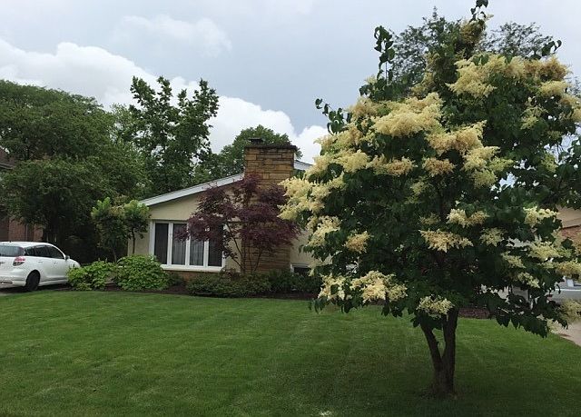 1st image of 2523 Fontana Dr