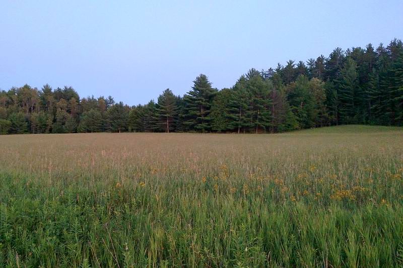 2nd image of Tbd Summit Rd
