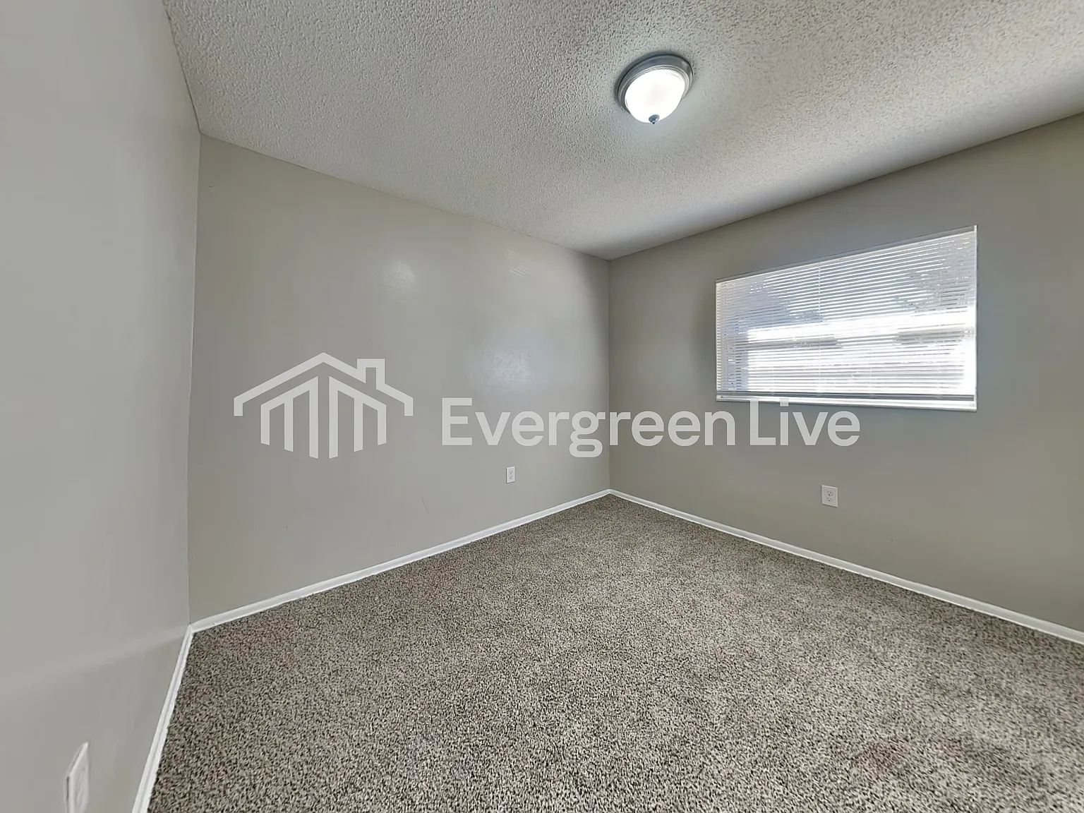 3 bed, 1.5 bath, 1134 sqft, $1,345 — Photo 4
