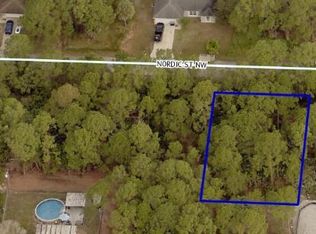 1180 Nordic St NW, Palm Bay, FL 32907