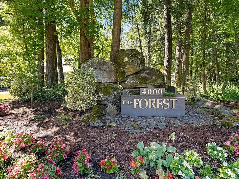 4000 The Forest