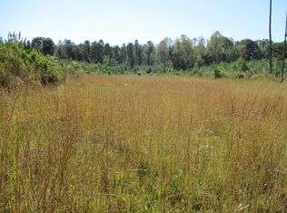 1138 Archer Rd, Bethel Springs, TN 38315