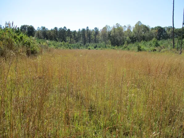 1138 Archer Rd, Bethel Springs, TN 38315