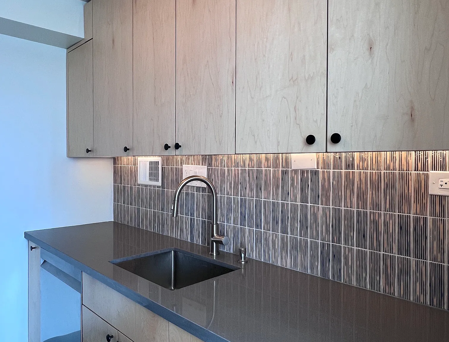 1 bed, 610 sqft, $2,295 — Photo 3