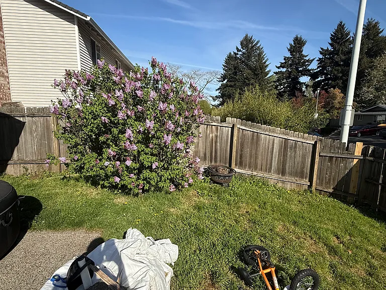 NE 1st St — Photo 14
