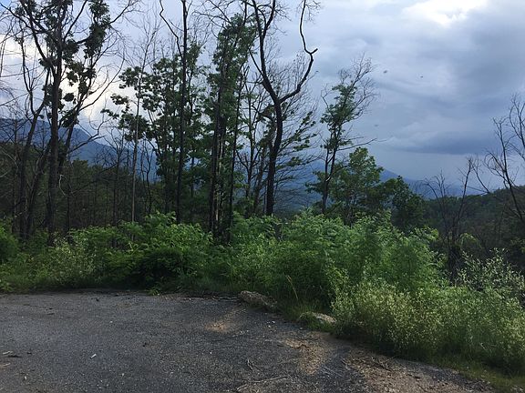 2nd image of Pine Top Ln
