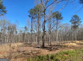 663 Giles Rd, Forsyth, GA 31029