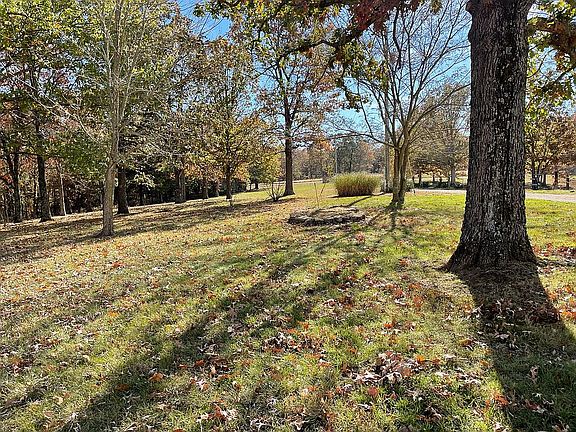 front yard toward driveway