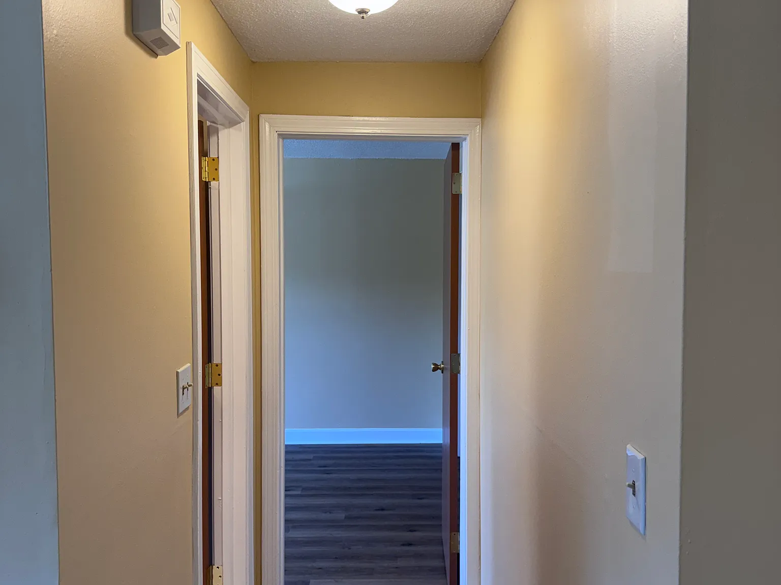 2 bed, 650 sqft, $1,650 — Photo 2
