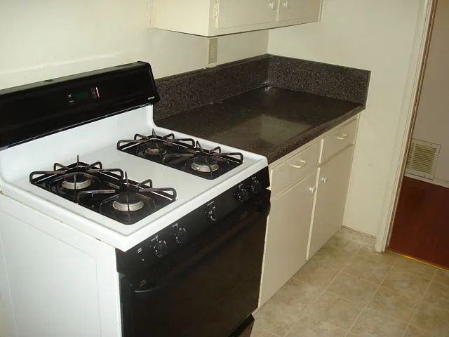 4209 Horgan Way — Photo 13