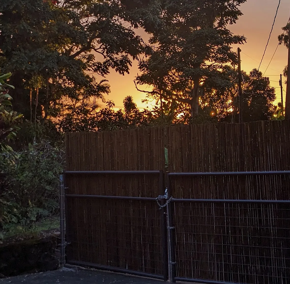 2 bed, 900 sqft, $2,500 — Photo 1