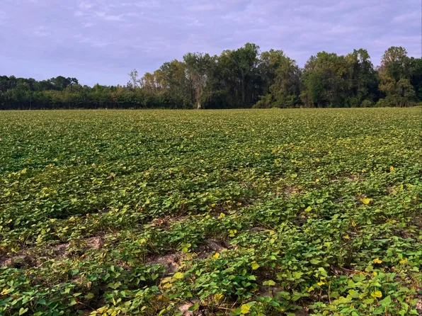 0 Devils Racetrack Rd, Four Oaks, NC 27524