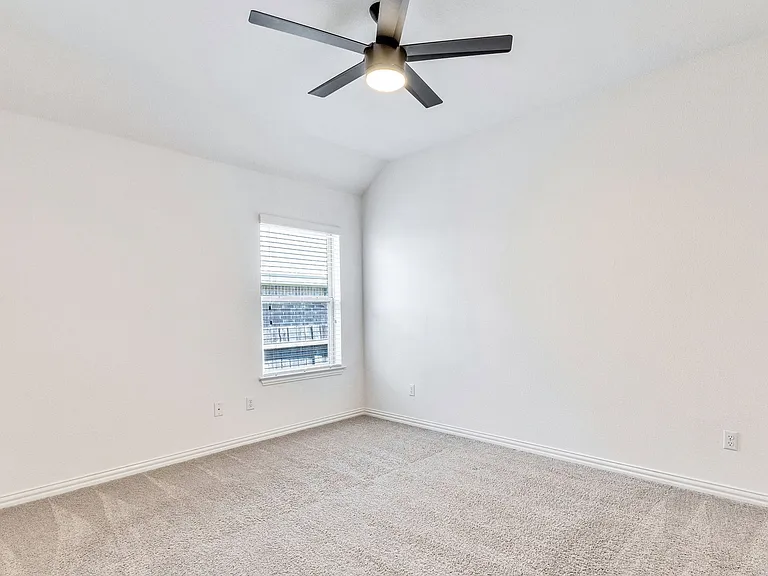 120 Lily Turf Cv — Photo 20