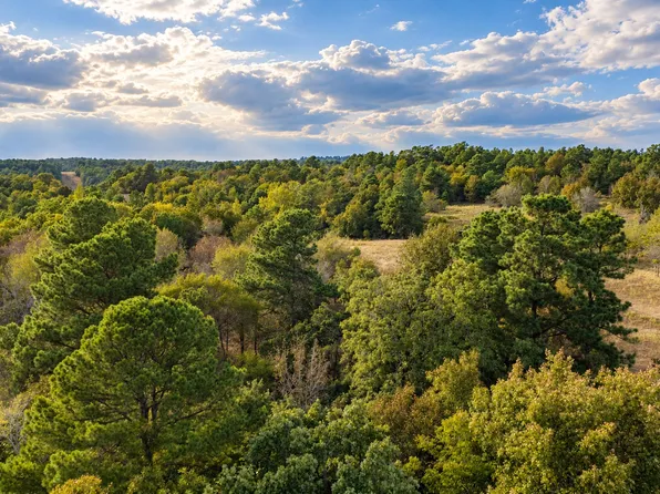 0 Off Of County Rd #448, Palestine, TX 75803