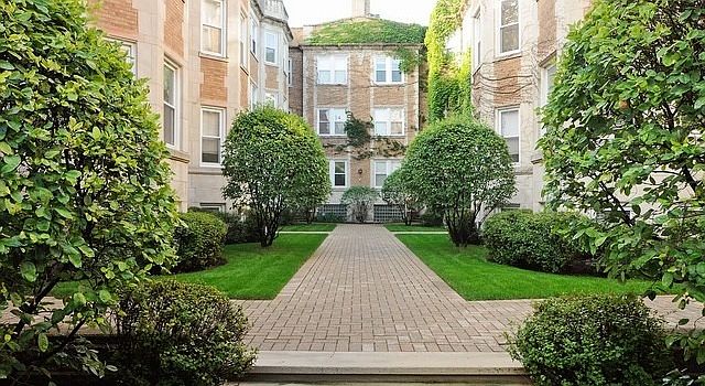 1st image of 877 W Cornelia Ave #3