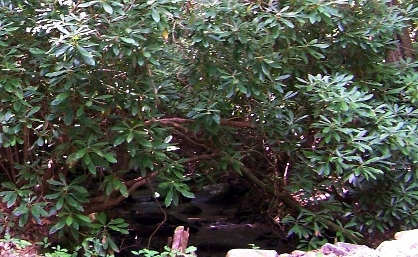 1st image of 0 Living Water Dr