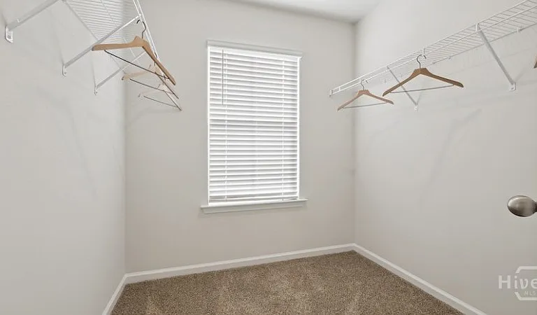 101 Petworth Place Chapin #CHAPIN — Photo 12