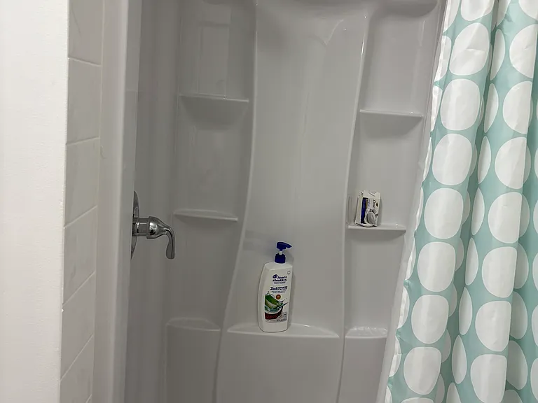 474 Washington Ave #3 — Photo 4