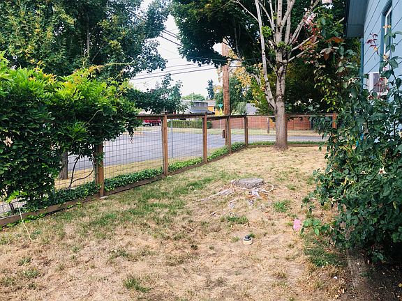 Side with blooming rose bush.