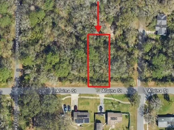 0 Alvina St Lot 10, Tampa, FL 33625