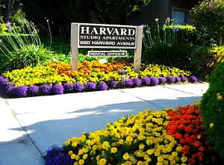 Harvard Studios