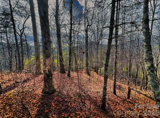 232 Thorncliff Trl #82, Marshall, NC 28753