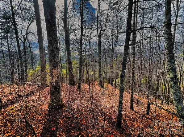 232 Thorncliff Trl #82, Marshall, NC 28753