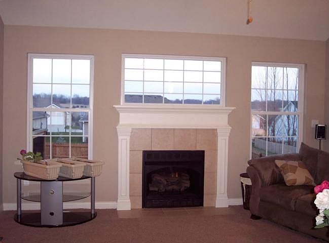 Living Room Windows