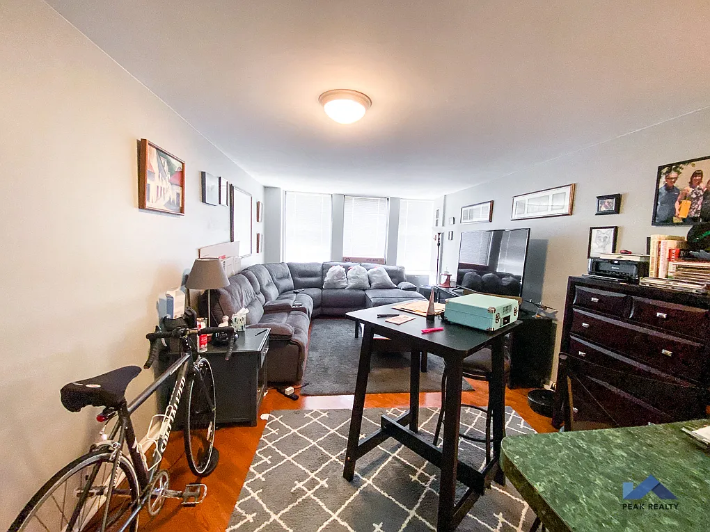 444 W. Fullerton Pkwy Unit 810 — Photo 2