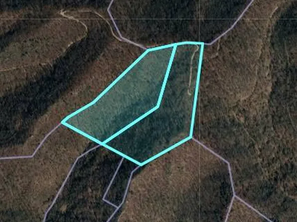 0 Trace Frk, Delbarton, WV 25670