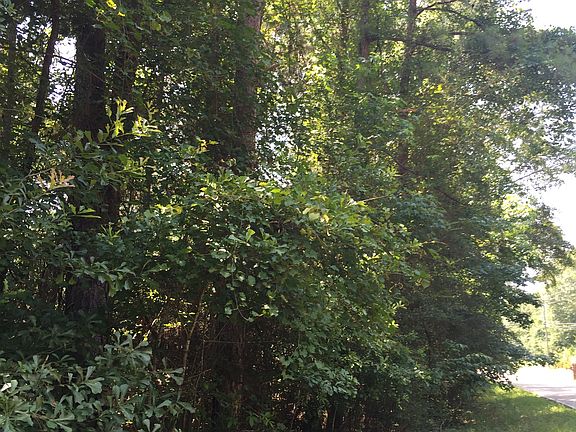 Beautiful hardwoods/pines