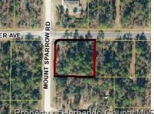 11006 Thrasher Ave, Weeki Wachee, FL 34614