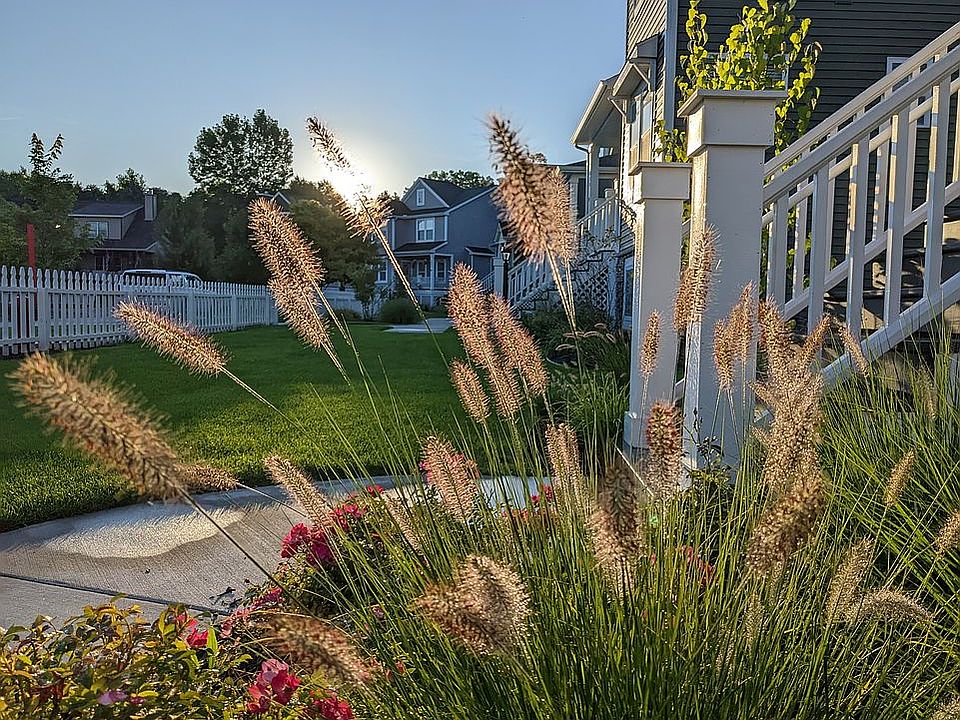 1st image of 455 Summer Grove Dr