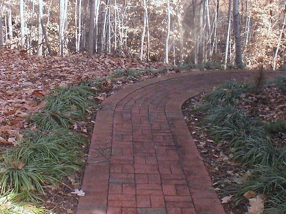 Pathway to back of home