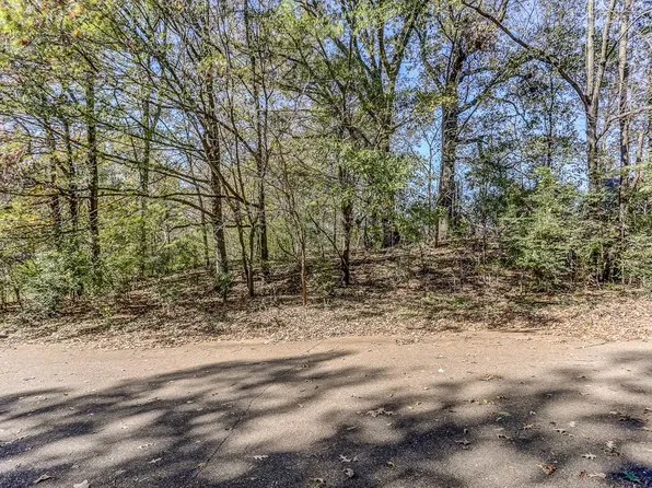 6111 Catskill Cv, Millington, TN 38053