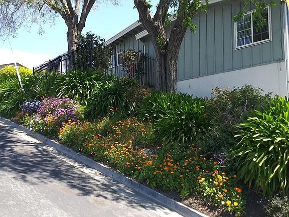Gardener takes care of the landscaping.