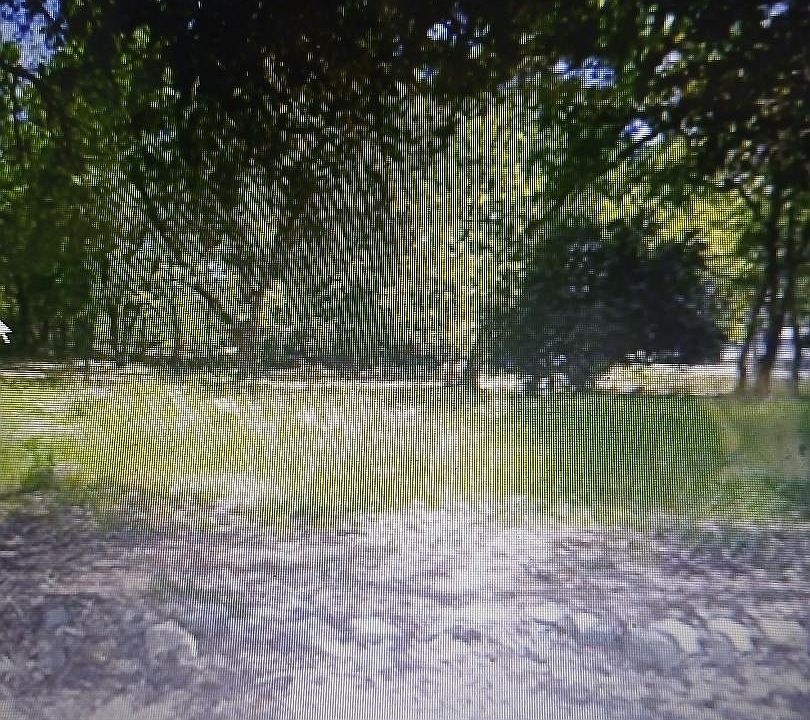 1st image of 5429 Cairo Ave #1