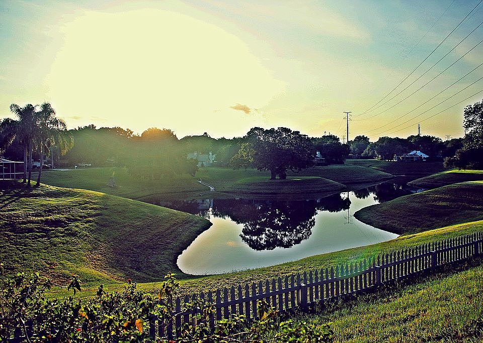 Backyard view